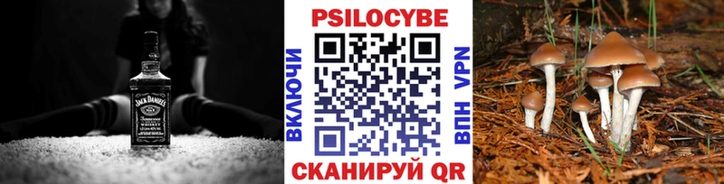 Галлюциногенные грибы GOLDEN TEACHER Купить где Апшеронск